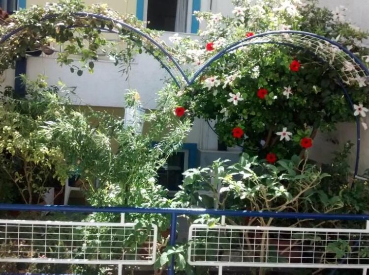 Apartment Garden View Double